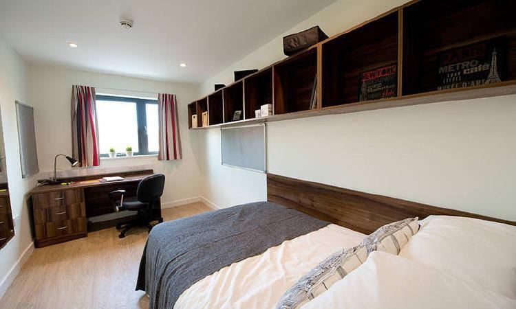 Zeni 5 Bed Apartment In Central Exeter Luaran gambar